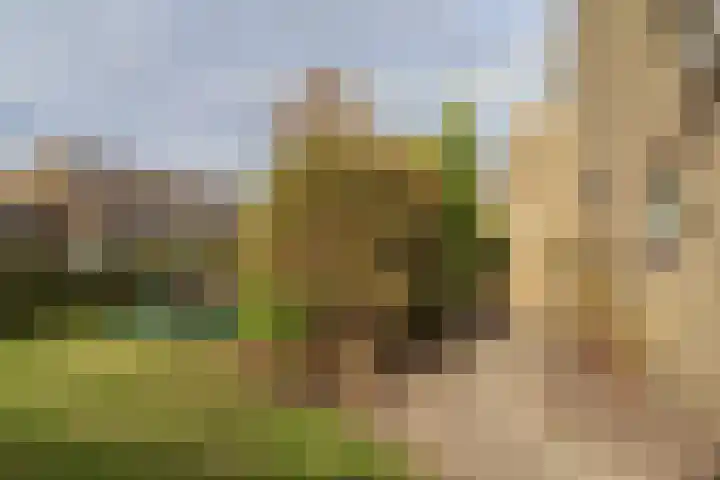 Reafinne 1 Oudega thumbnail 53