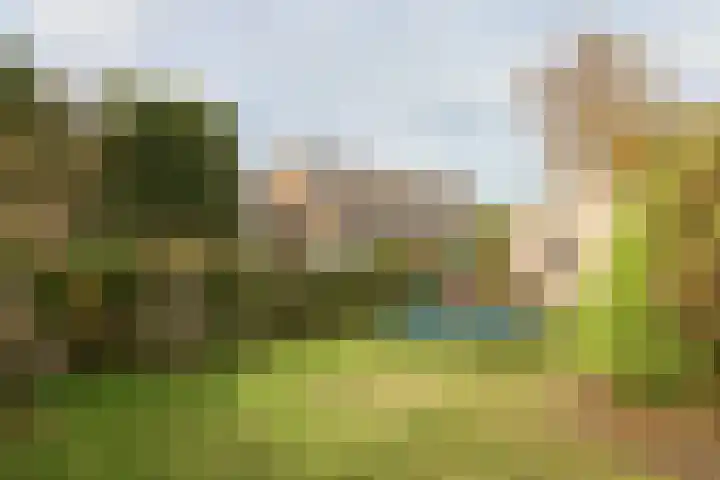 Reafinne 1 Oudega thumbnail 54