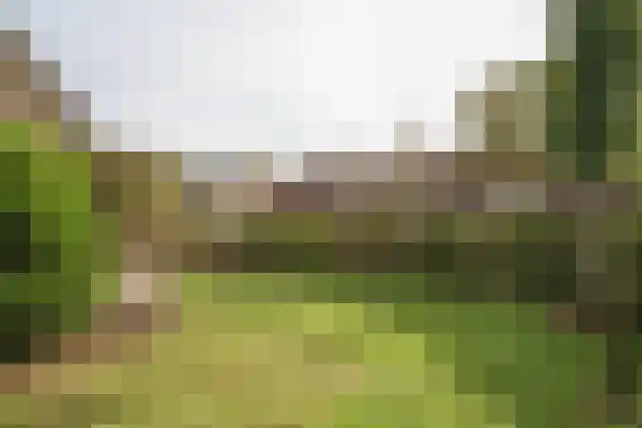 Reafinne 1 Oudega thumbnail 55