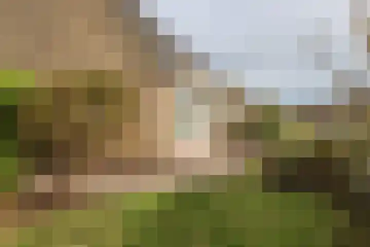 Reafinne 1 Oudega thumbnail 56
