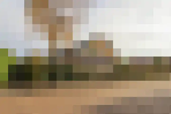 Reafinne 1 Oudega thumbnail 57