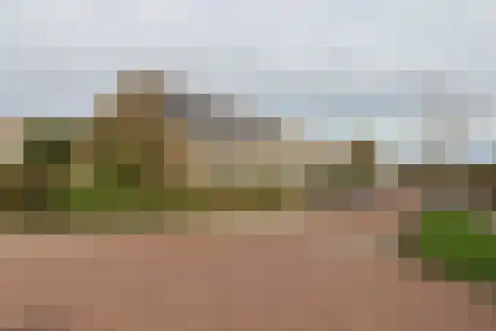 Reafinne 1 Oudega thumbnail 58