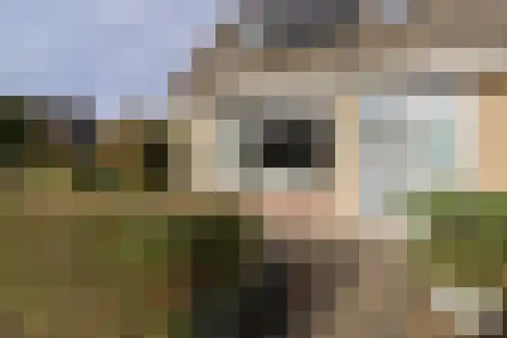 Reafinne 1 Oudega thumbnail 6