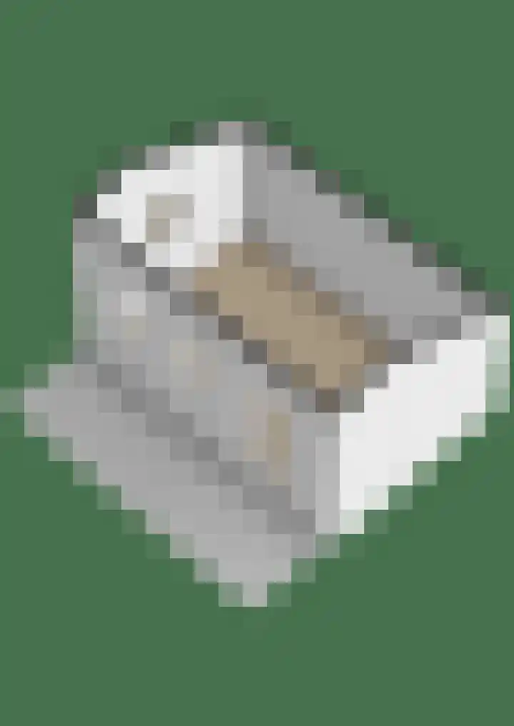 Reafinne 1 Oudega thumbnail 66