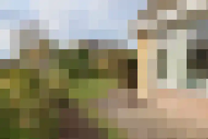 Reafinne 1 Oudega thumbnail 7