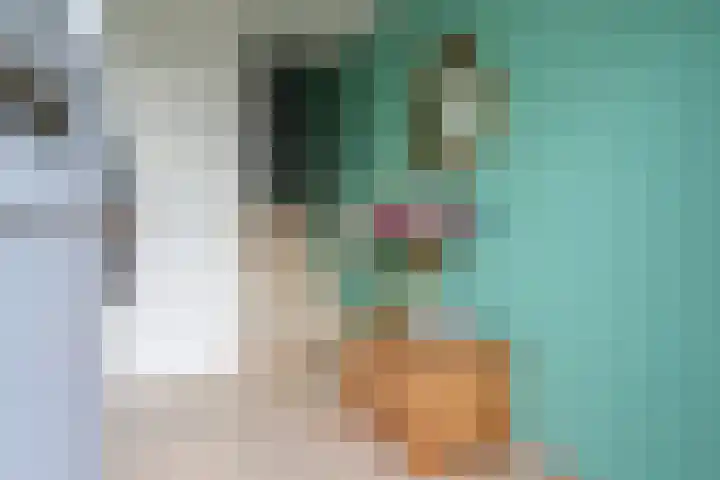 Reafinne 1 Oudega thumbnail 8