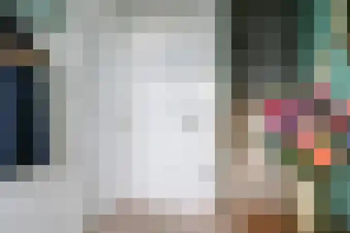 Reafinne 1 Oudega thumbnail 9