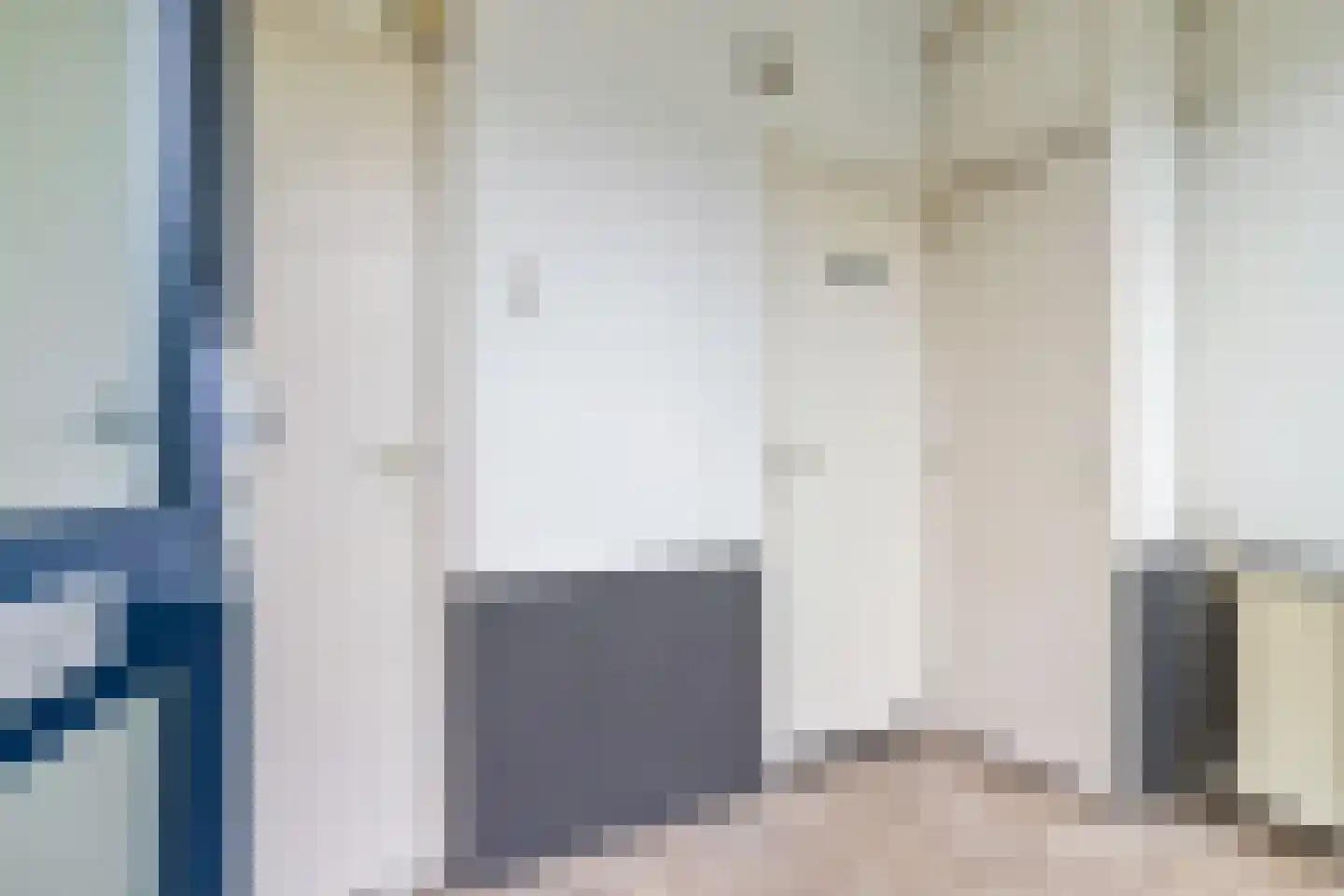 Reafinne 24 Oudega thumbnail 13