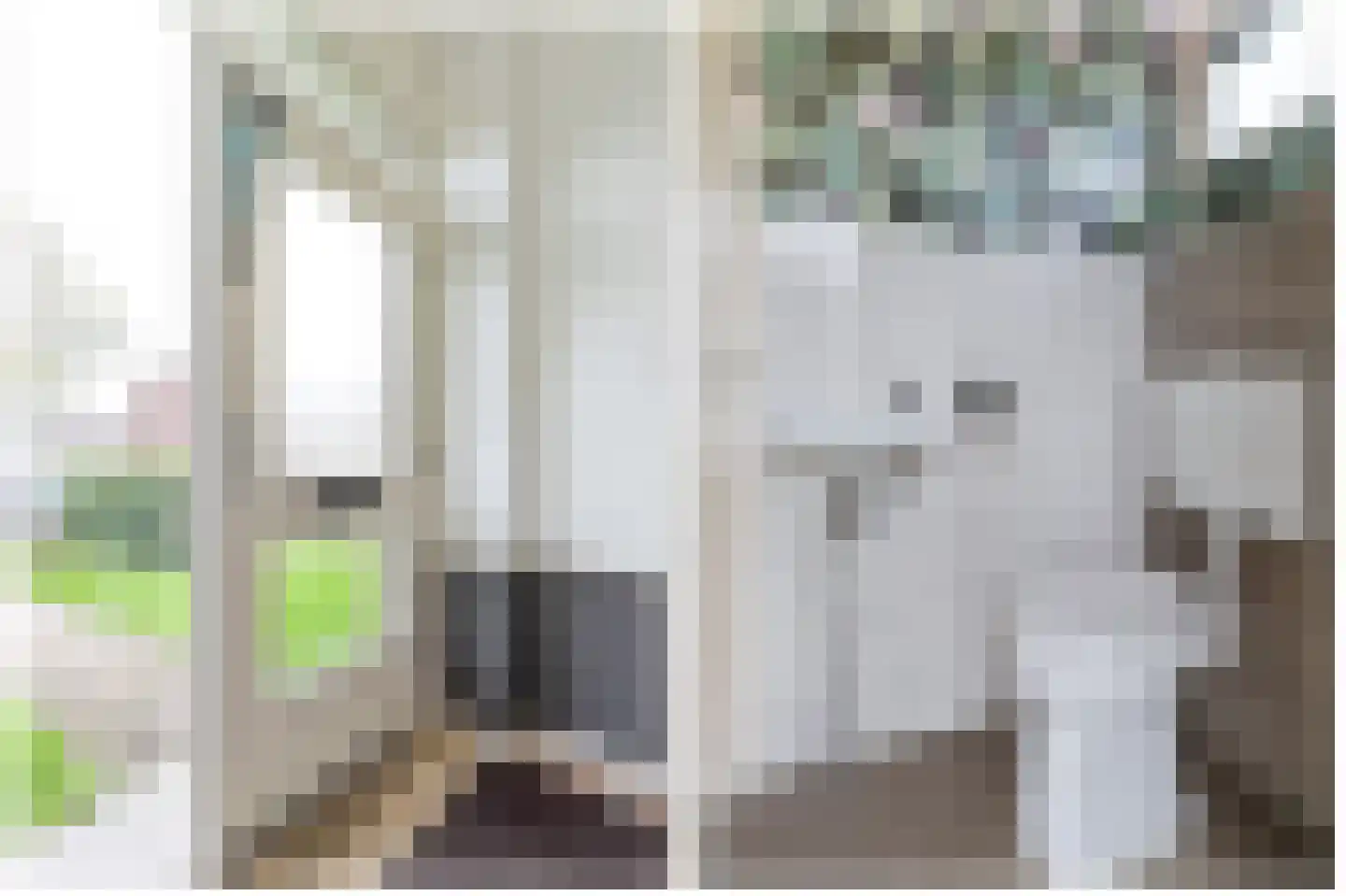 Reafinne 24 Oudega thumbnail 14