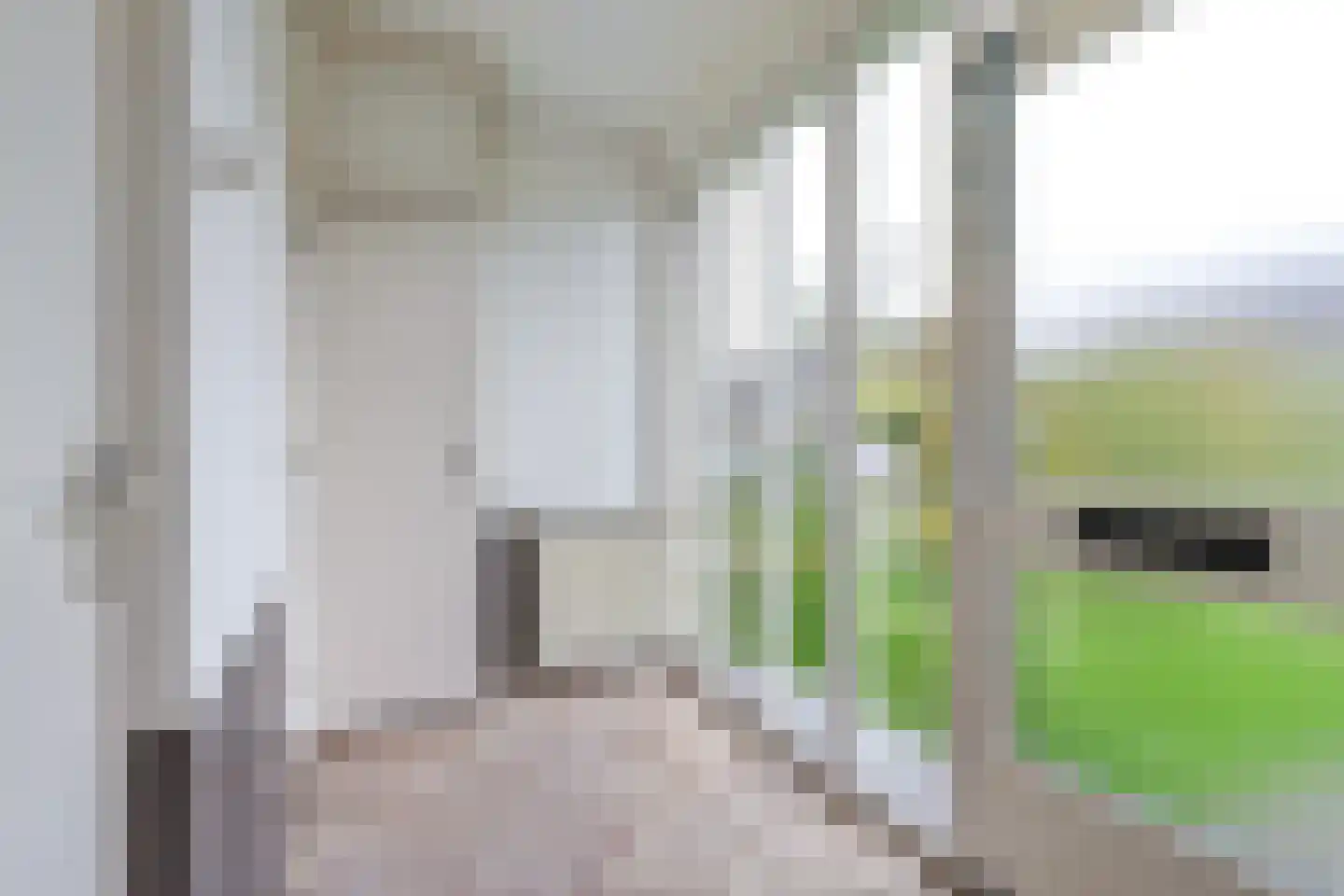 Reafinne 24 Oudega thumbnail 17
