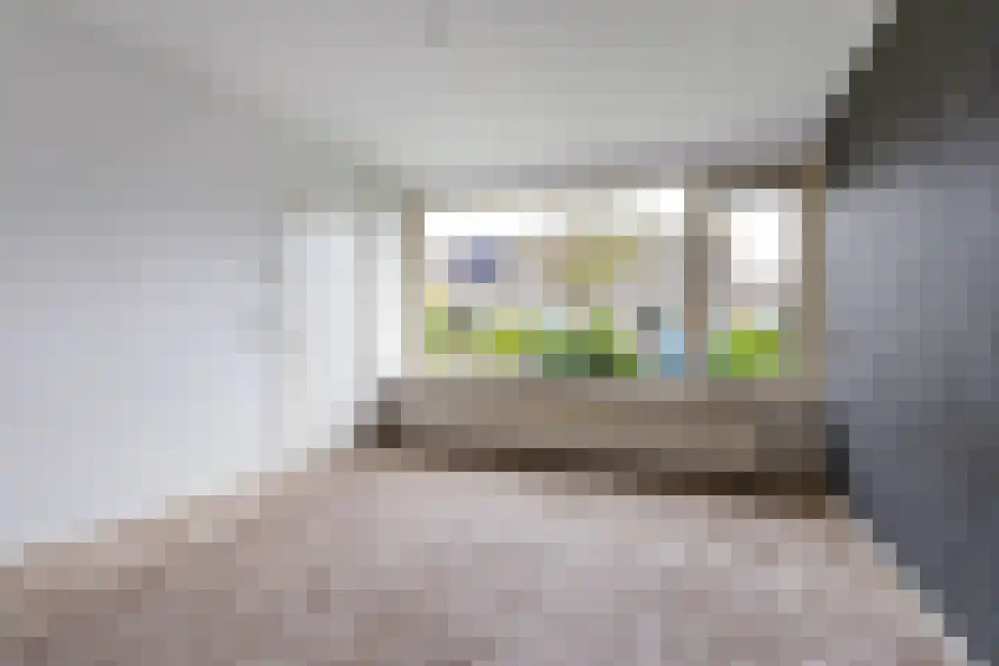 Reafinne 24 Oudega thumbnail 24