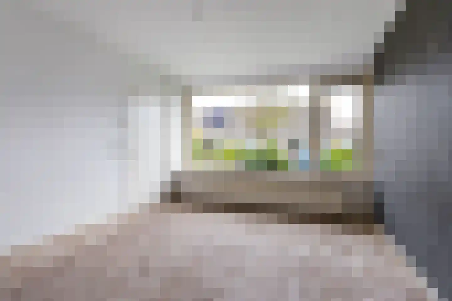 Reafinne 24 Oudega thumbnail 25