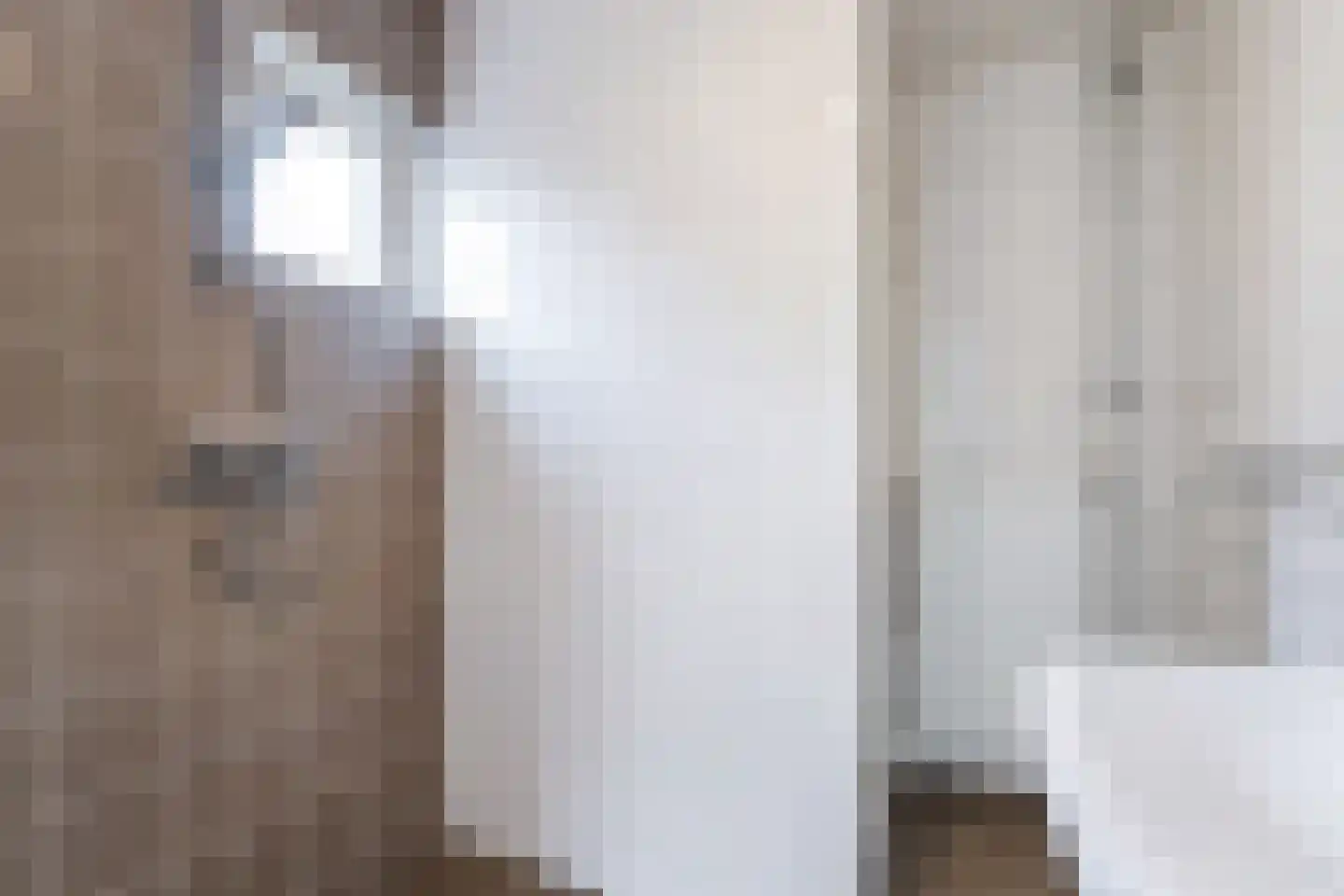 Reafinne 24 Oudega thumbnail 31