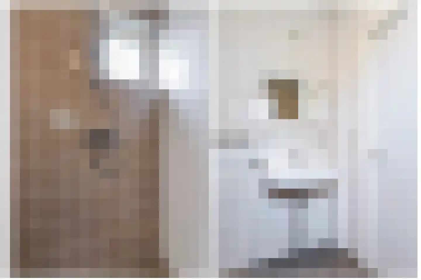 Reafinne 24 Oudega thumbnail 32