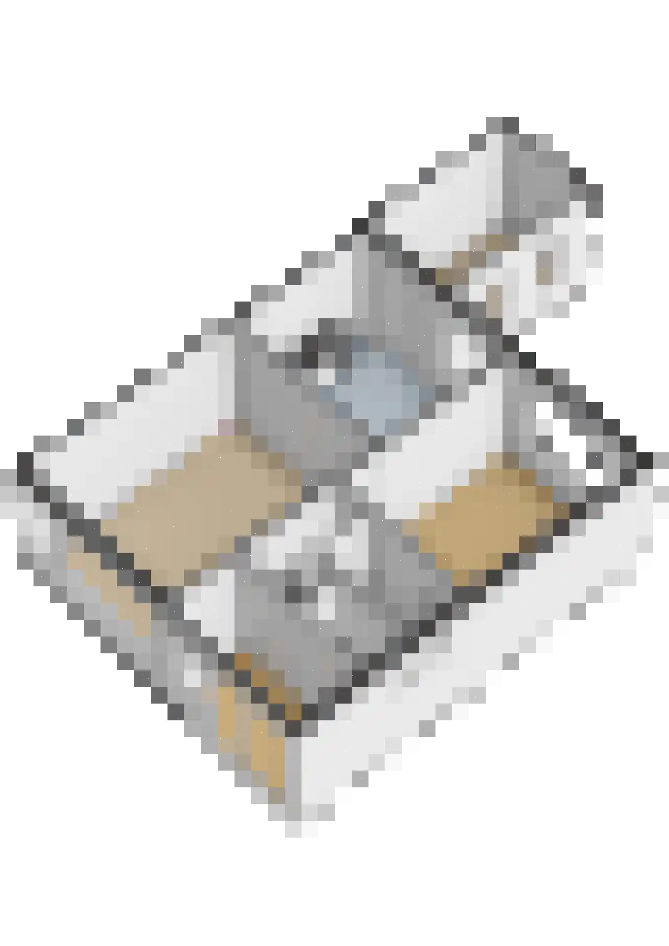 Reafinne 24 Oudega thumbnail 64