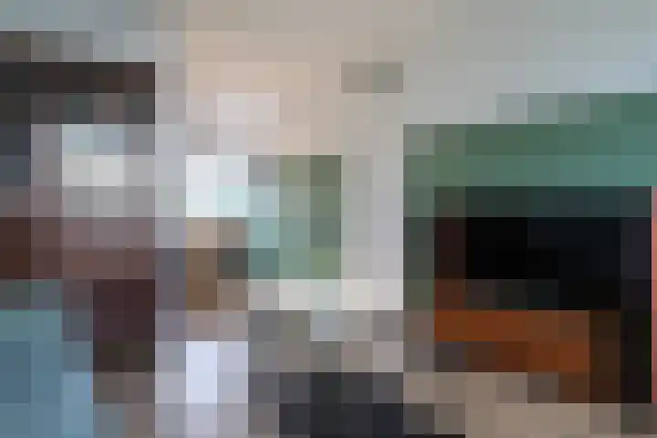 Reafinne 30 Oudega thumbnail 12