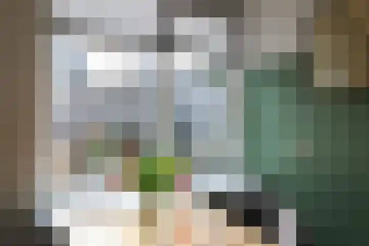Reafinne 30 Oudega thumbnail 14