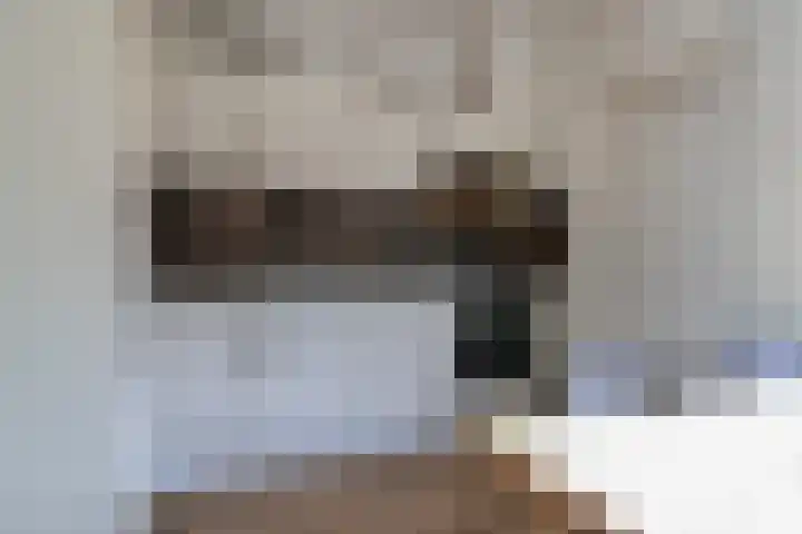 Reafinne 30 Oudega thumbnail 15