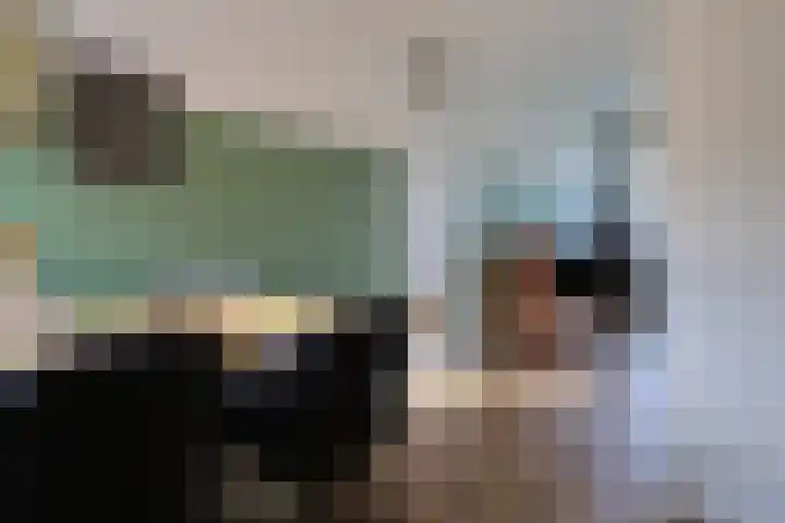 Reafinne 30 Oudega thumbnail 17
