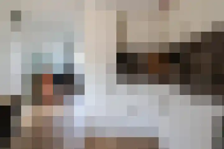 Reafinne 30 Oudega thumbnail 18