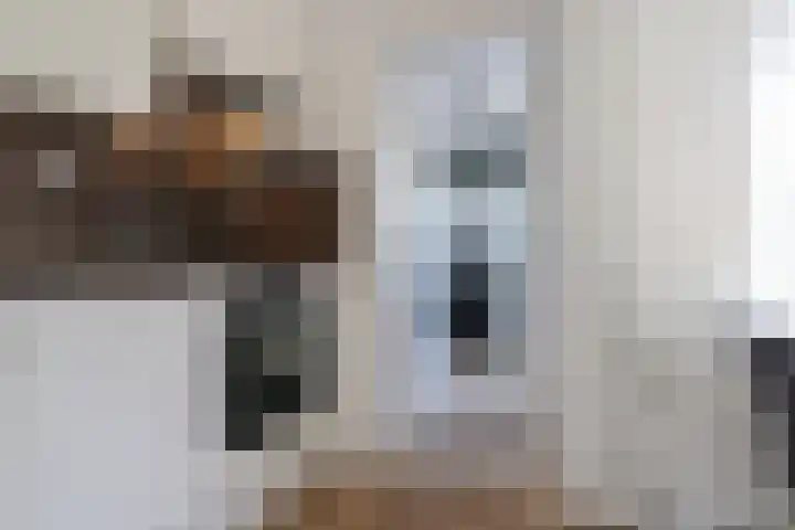 Reafinne 30 Oudega thumbnail 20