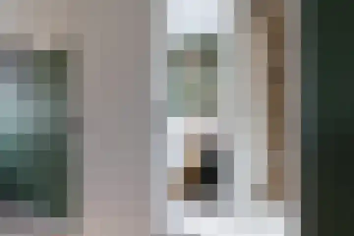 Reafinne 30 Oudega thumbnail 22