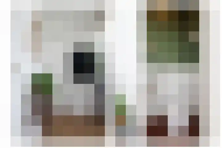 Reafinne 30 Oudega thumbnail 28