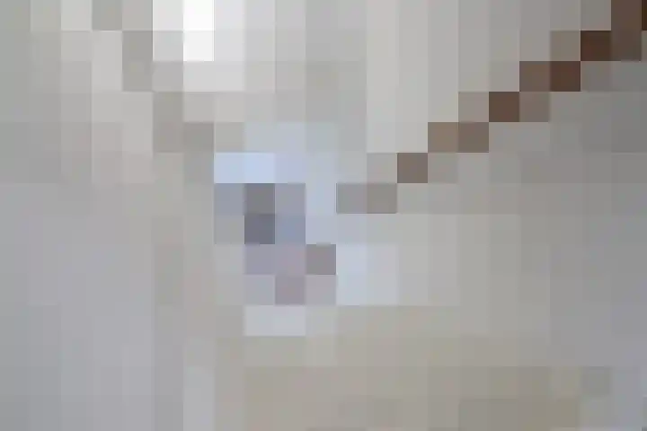 Reafinne 30 Oudega thumbnail 29