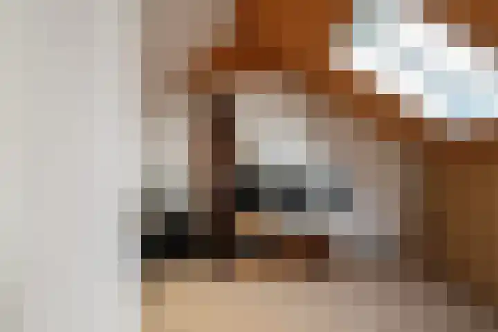 Reafinne 30 Oudega thumbnail 31