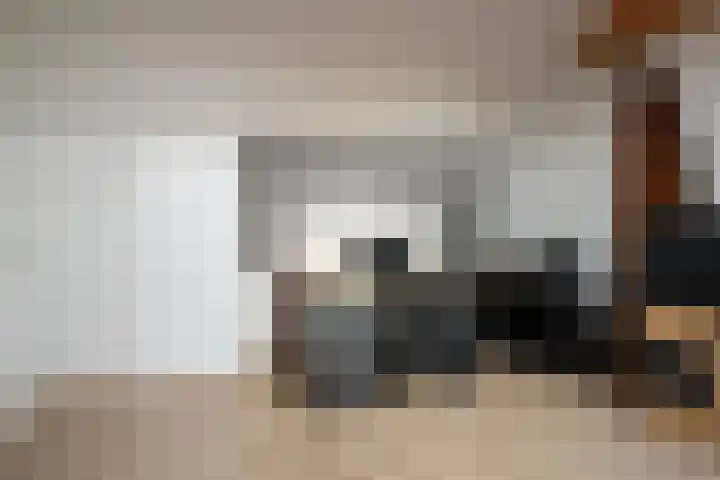 Reafinne 30 Oudega thumbnail 32