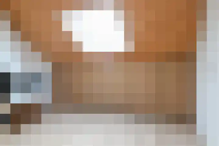 Reafinne 30 Oudega thumbnail 33