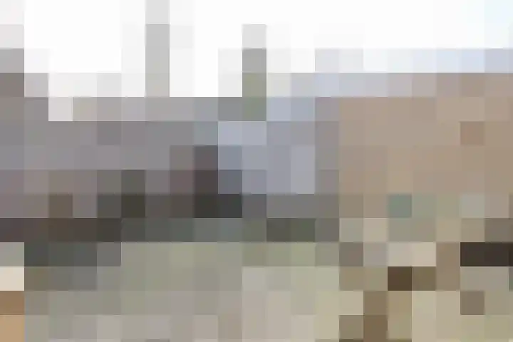 Reafinne 30 Oudega thumbnail 36