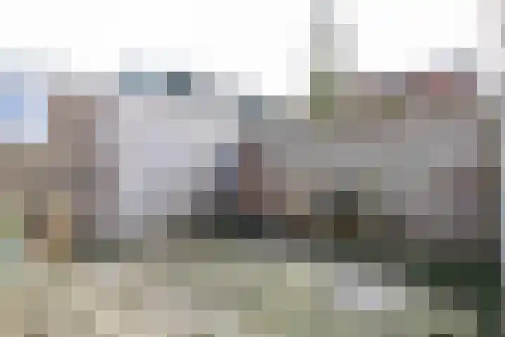 Reafinne 30 Oudega thumbnail 37
