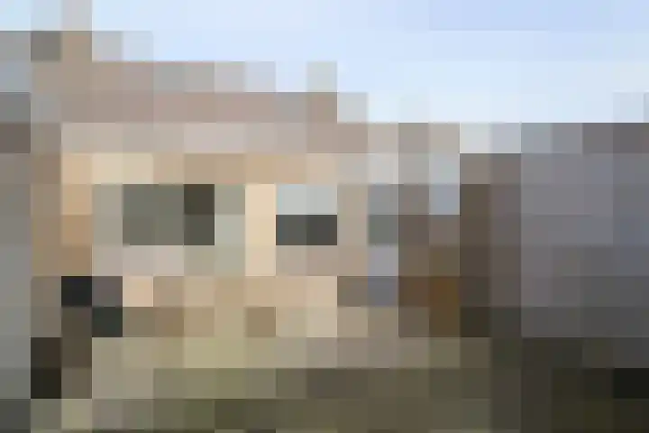 Reafinne 30 Oudega thumbnail 38