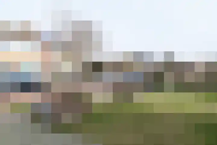 Reafinne 30 Oudega thumbnail 5