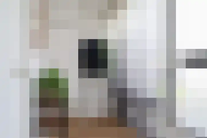 Reafinne 30 Oudega thumbnail 6