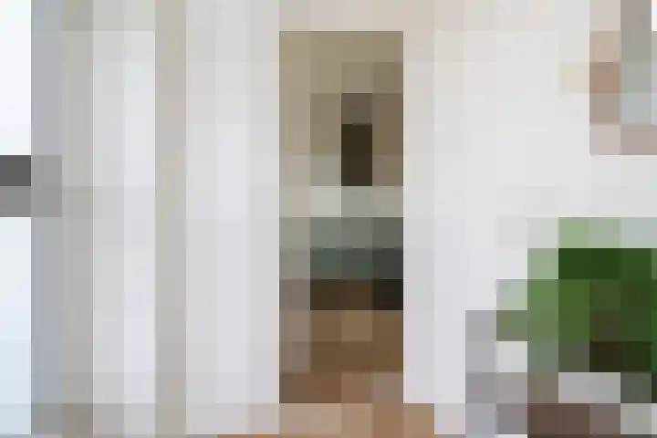 Reafinne 30 Oudega thumbnail 7