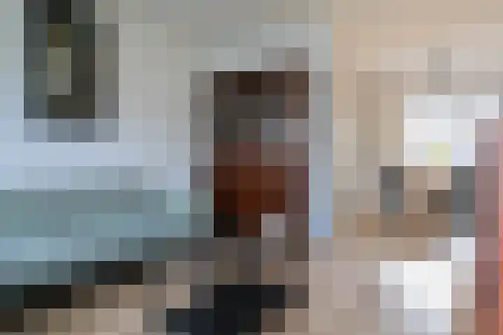 Reafinne 30 Oudega thumbnail 9