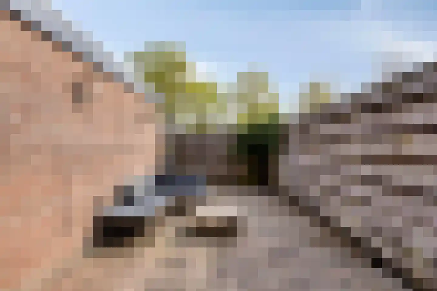 Reaganlaan 19 Goes thumbnail 37