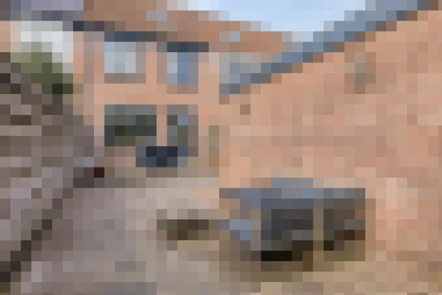 Reaganlaan 19 Goes thumbnail 40