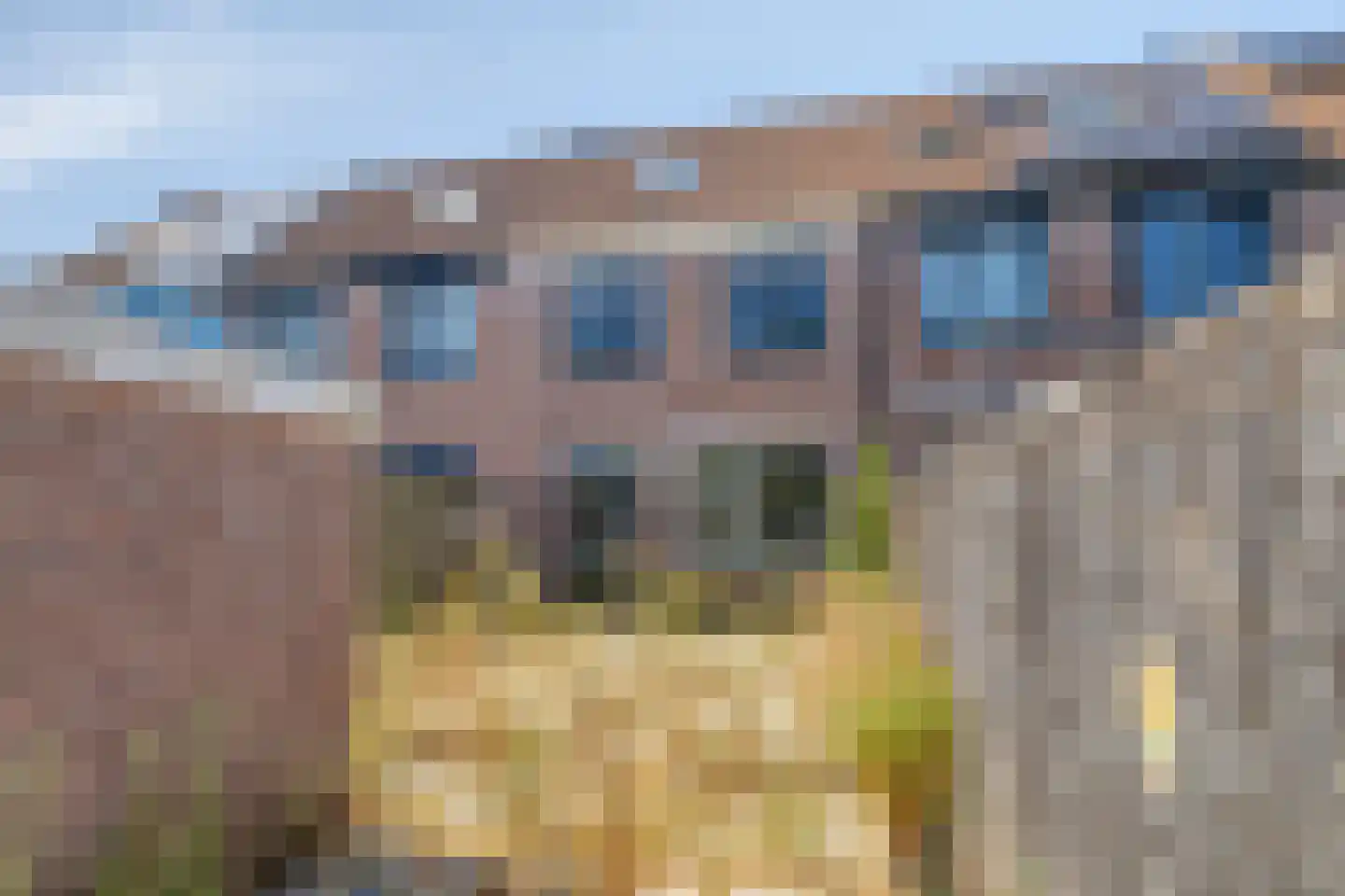 Reaganlaan 21 Goes thumbnail 37