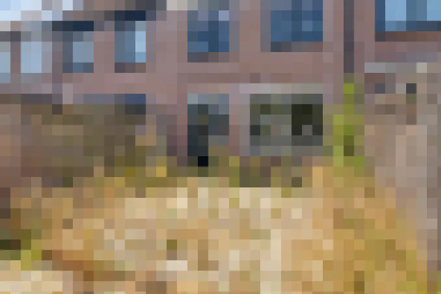 Reaganlaan 21 Goes thumbnail 38