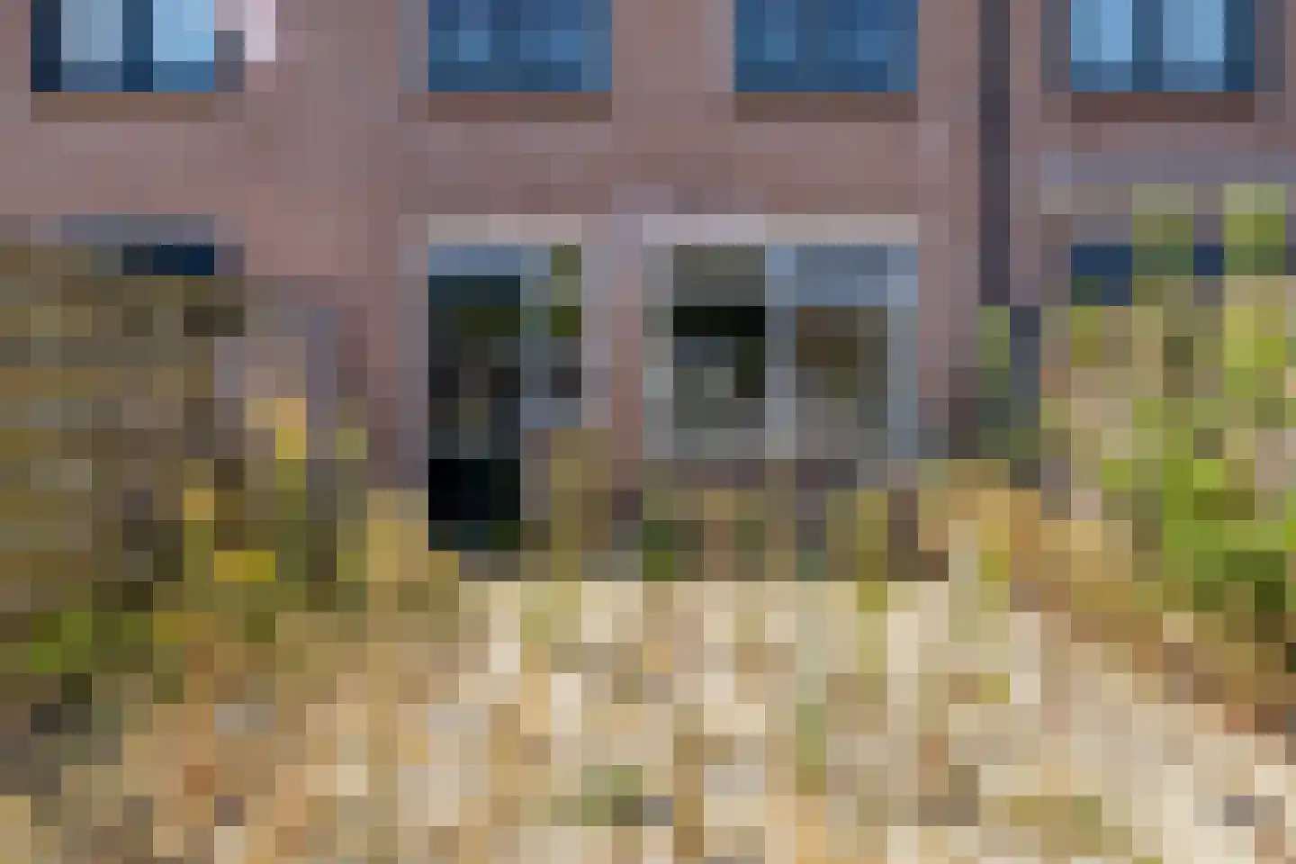 Reaganlaan 21 Goes thumbnail 39