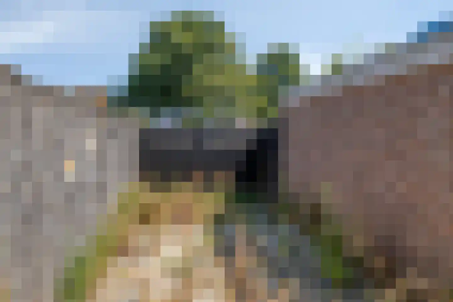 Reaganlaan 21 Goes thumbnail 44