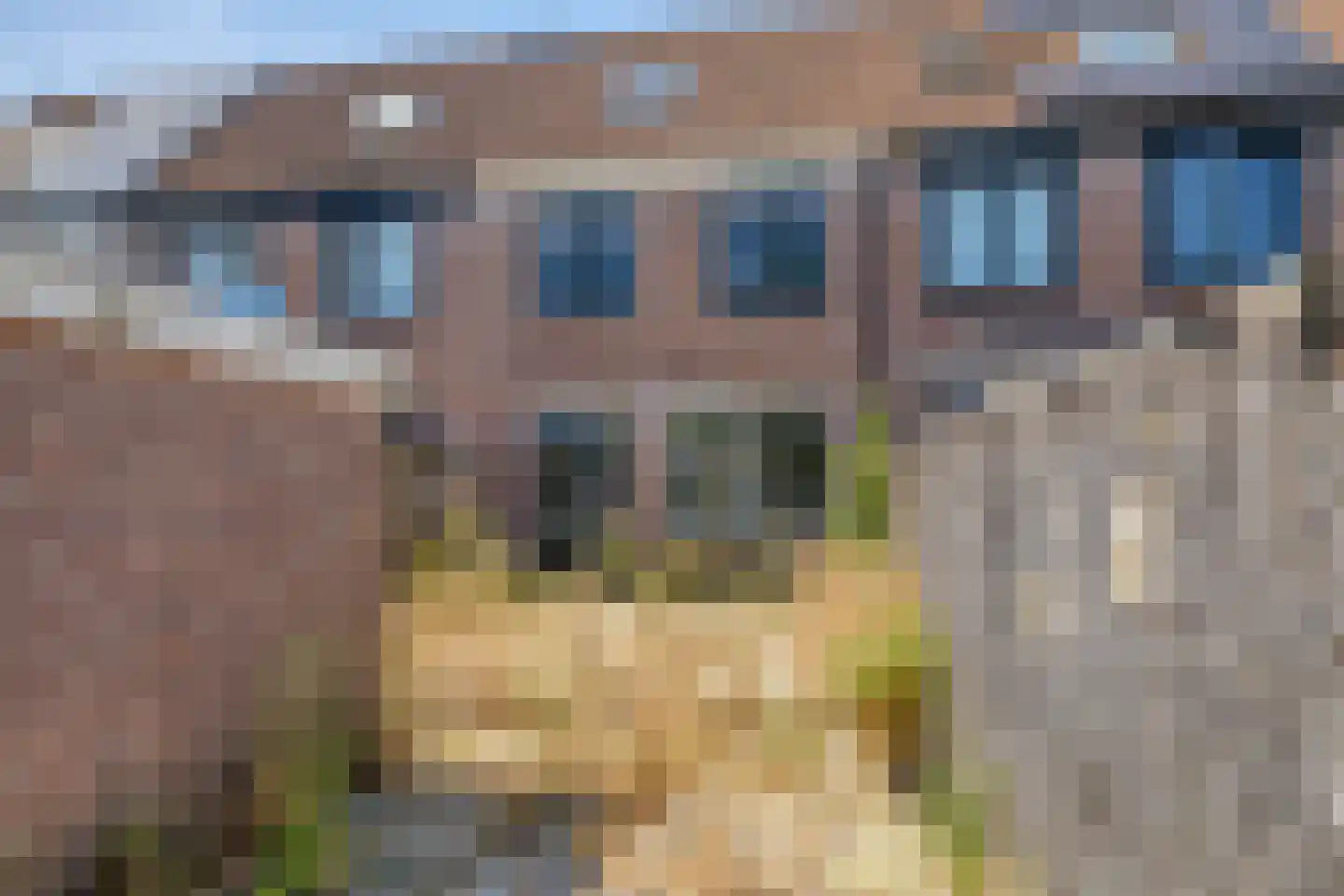 Reaganlaan 21 Goes thumbnail 45