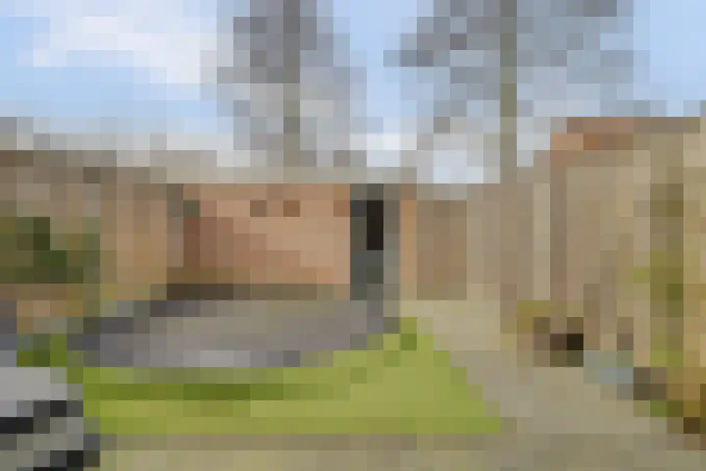 Reaganlaan 28 Goes thumbnail 20