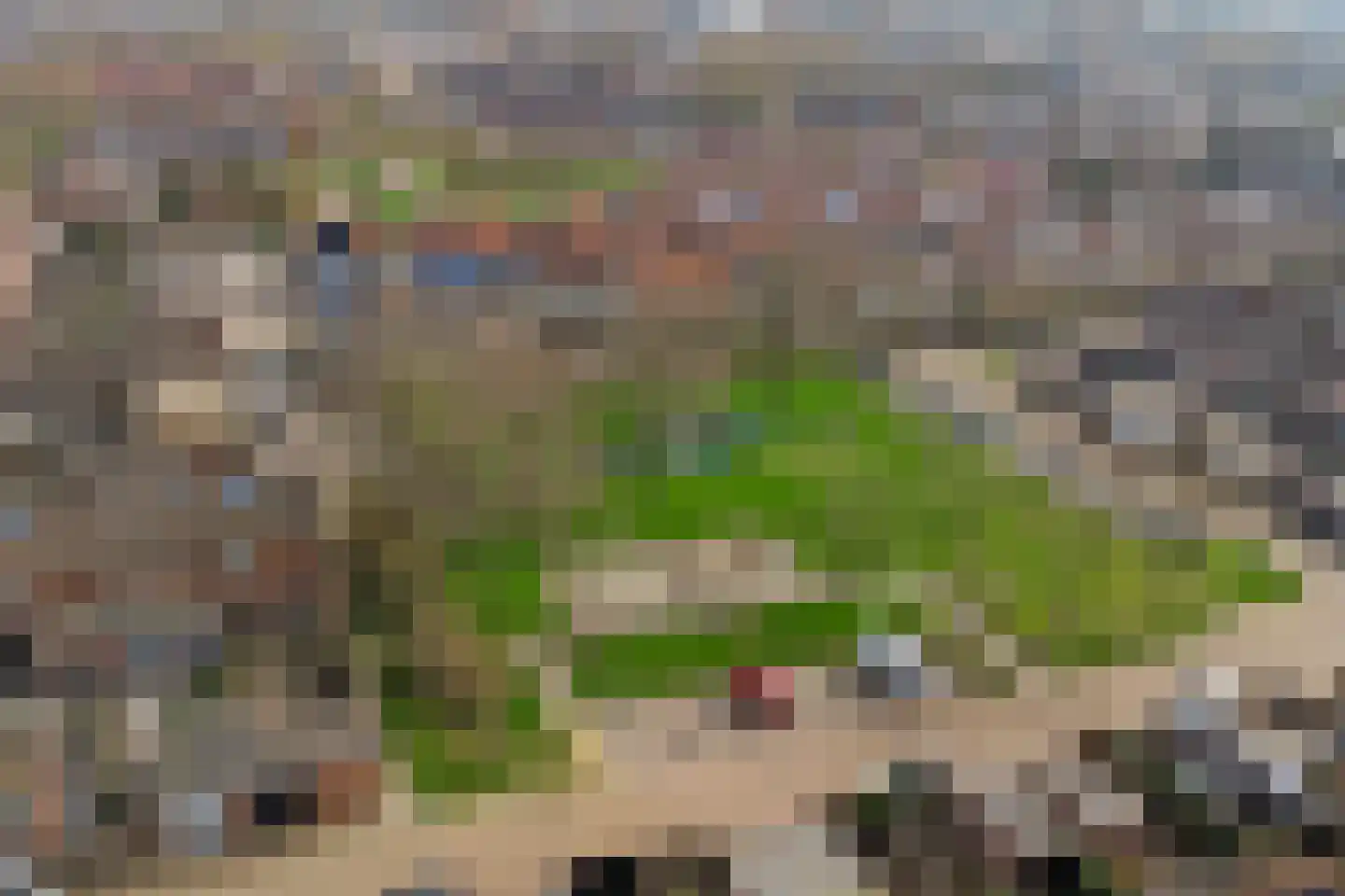 Reaganlaan 28 Goes thumbnail 24