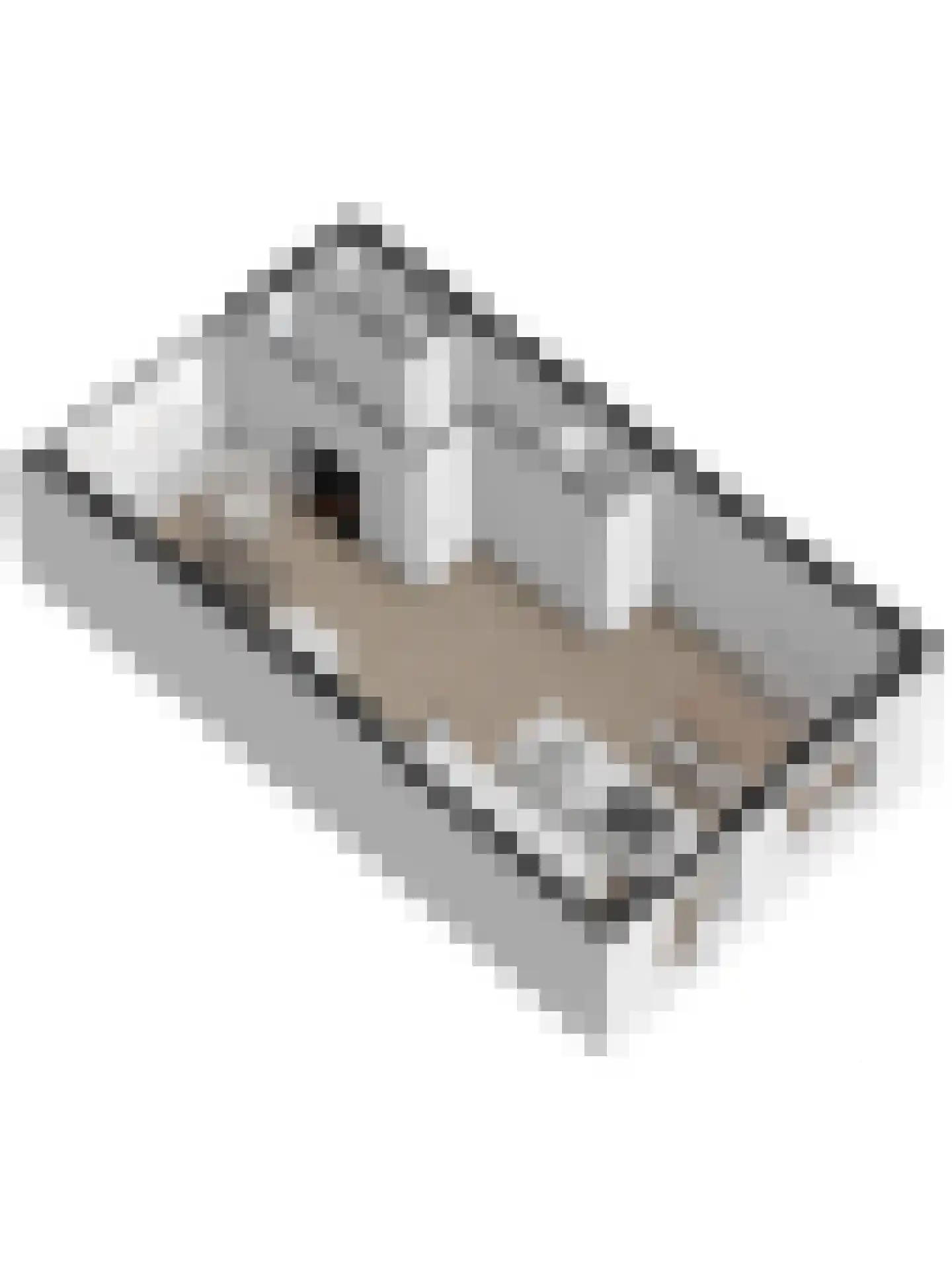 Reaganlaan 28 Goes thumbnail 30