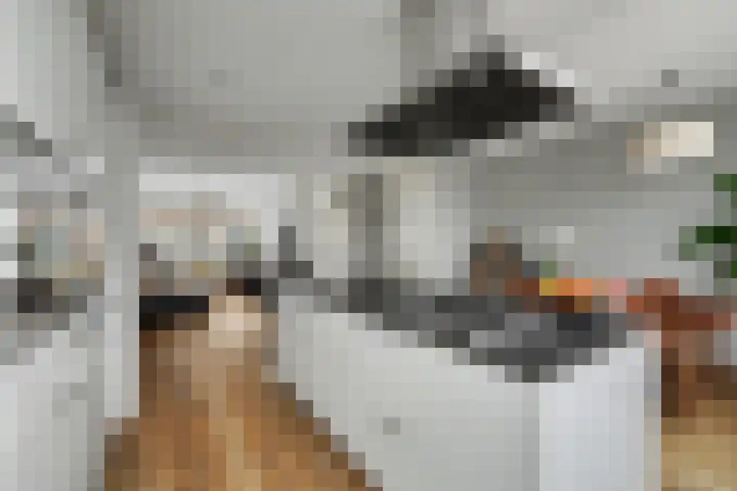 Reaganlaan 28 Goes thumbnail 8