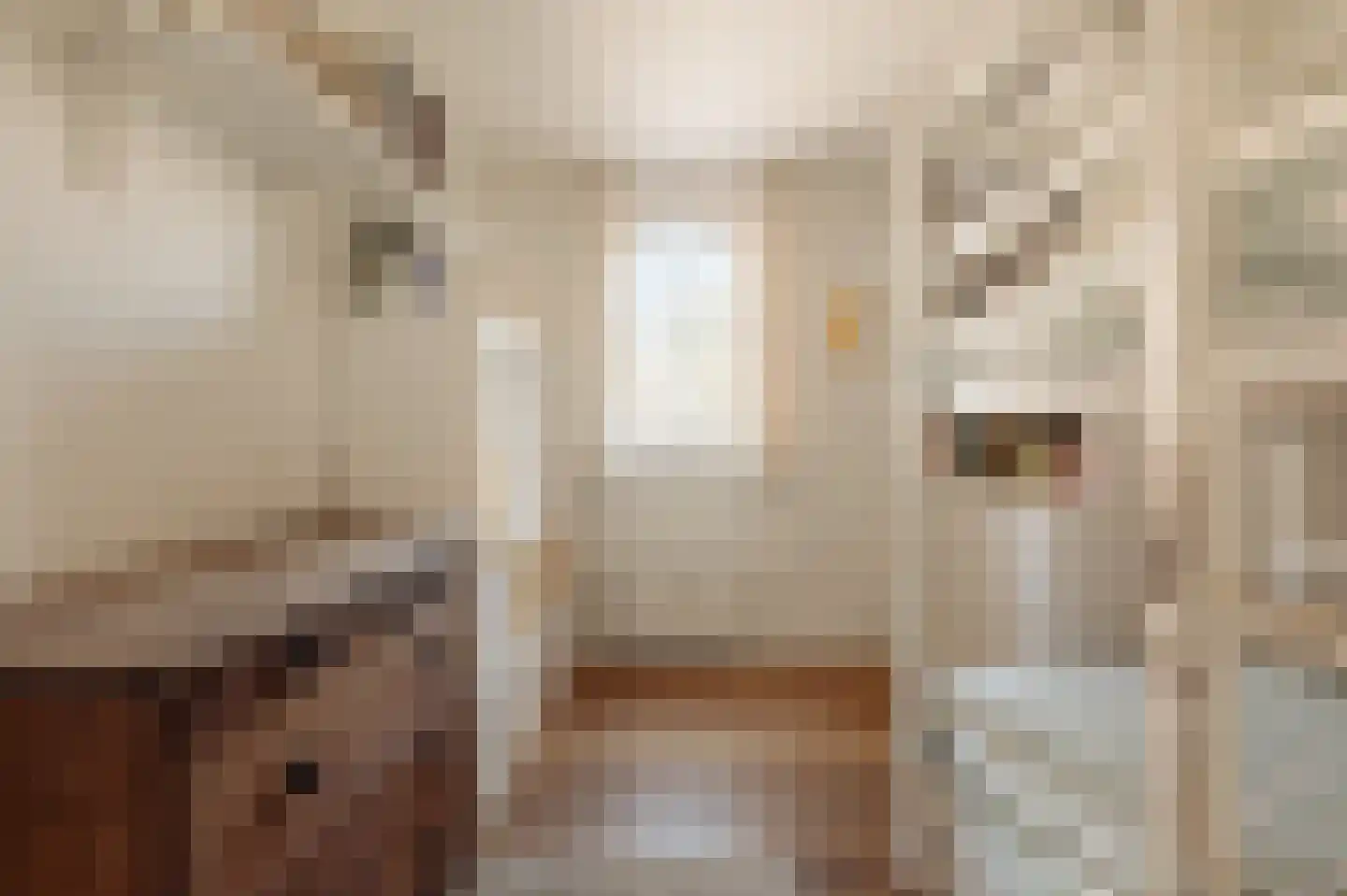 Realengracht 118 Amsterdam thumbnail 14